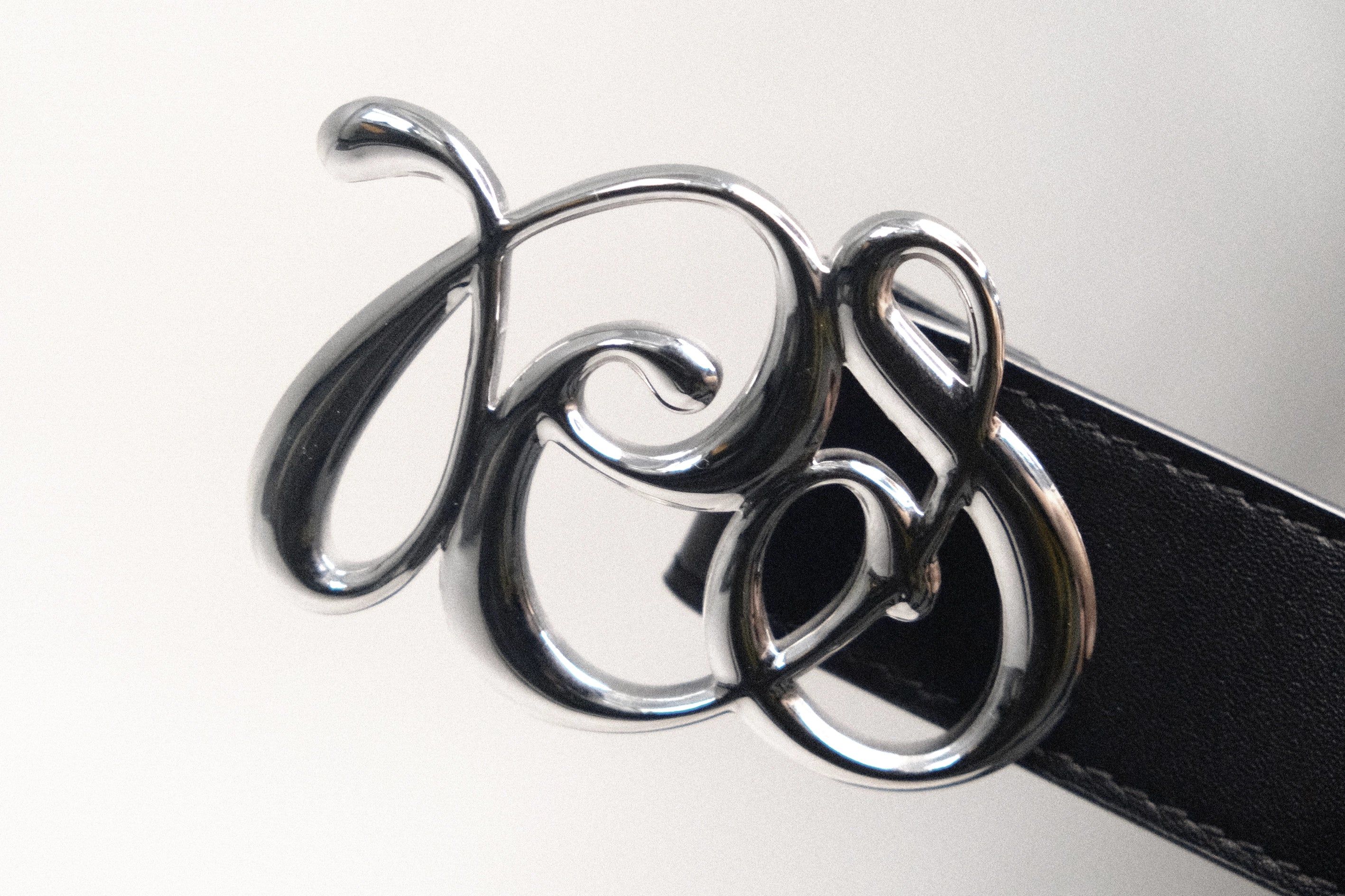 03 PCES Stainless Steel Belt